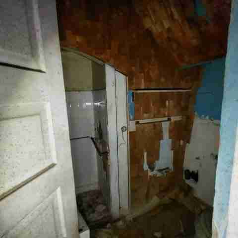 8031 conger (10).jpg